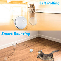 Smart Interactive Pet Ball